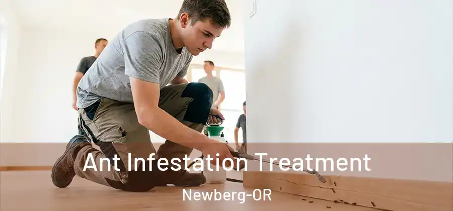 Ant Infestation Treatment Newberg-OR