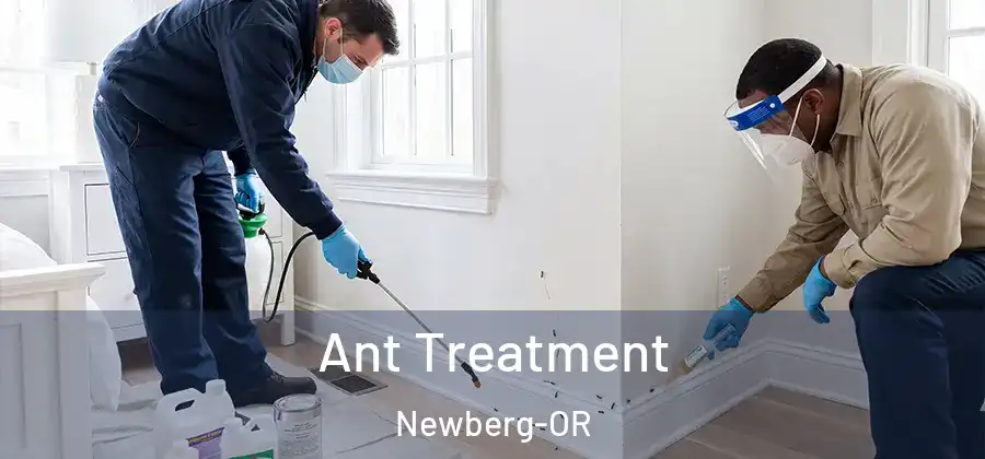 Ant Treatment Newberg-OR