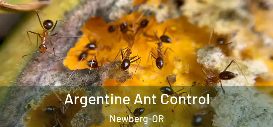 Argentine Ant Control Newberg-OR