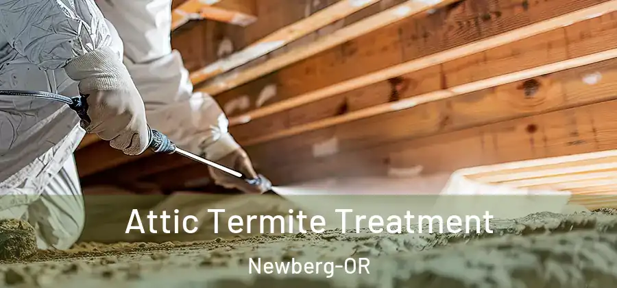 Attic Termite Treatment Newberg-OR