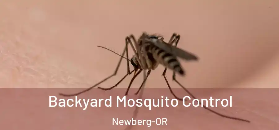 Backyard Mosquito Control Newberg-OR