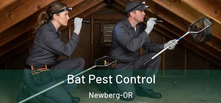 Bat Pest Control Newberg-OR