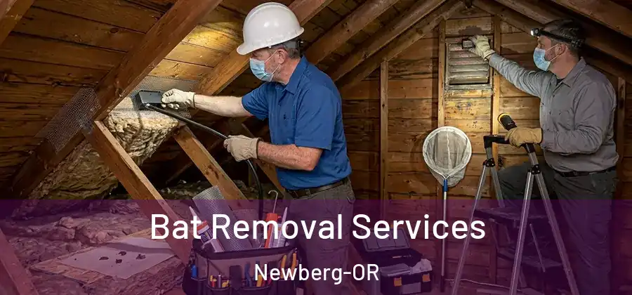 Bat Removal Services Newberg-OR
