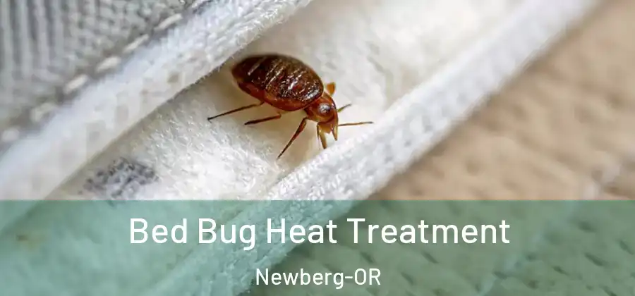 Bed Bug Heat Treatment Newberg-OR