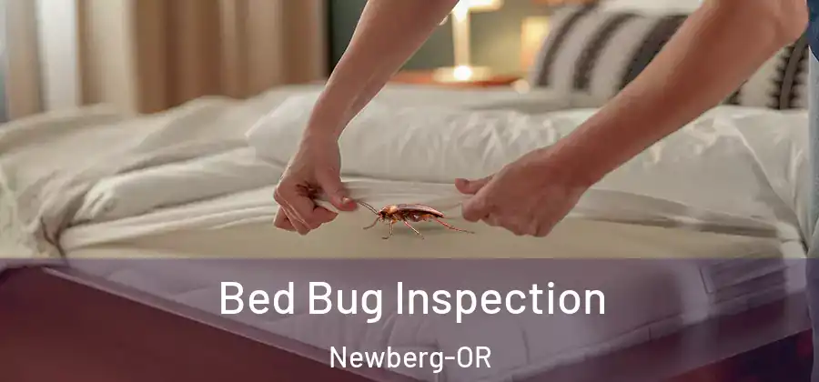 Bed Bug Inspection Newberg-OR