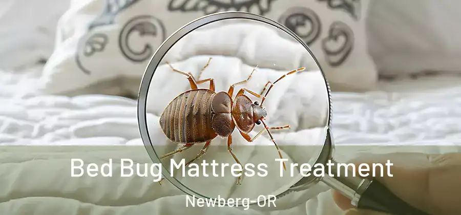 Bed Bug Mattress Treatment Newberg-OR