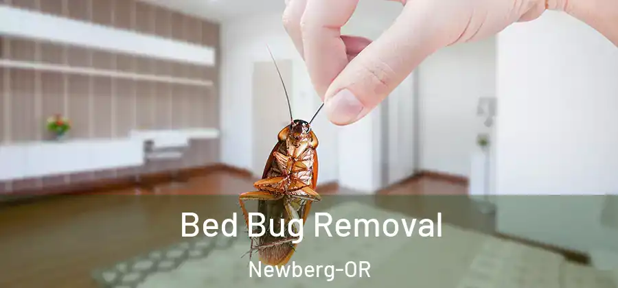 Bed Bug Removal Newberg-OR