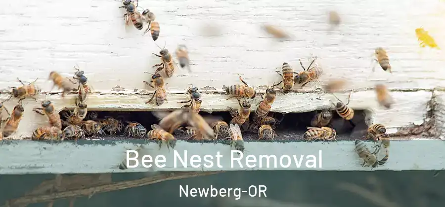 Bee Nest Removal Newberg-OR