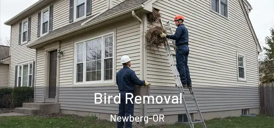 Bird Removal Newberg-OR