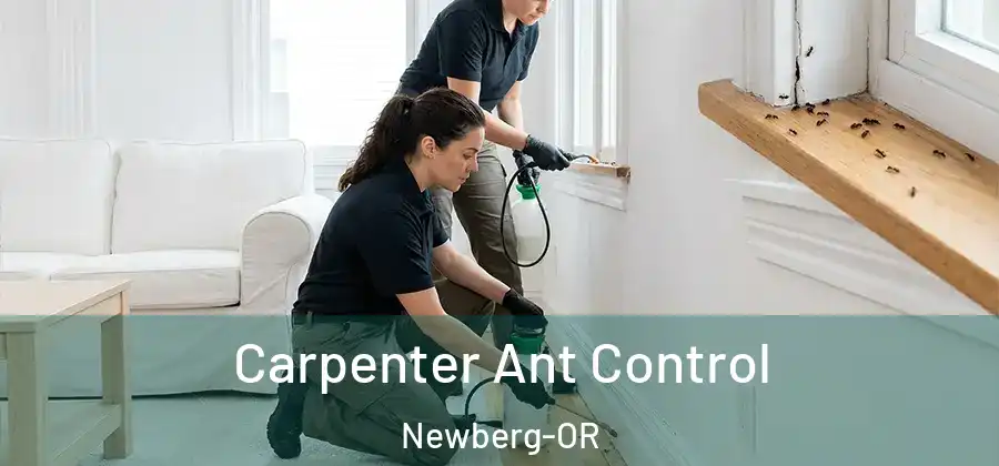 Carpenter Ant Control Newberg-OR