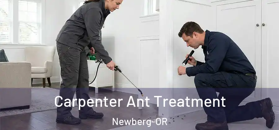 Carpenter Ant Treatment Newberg-OR