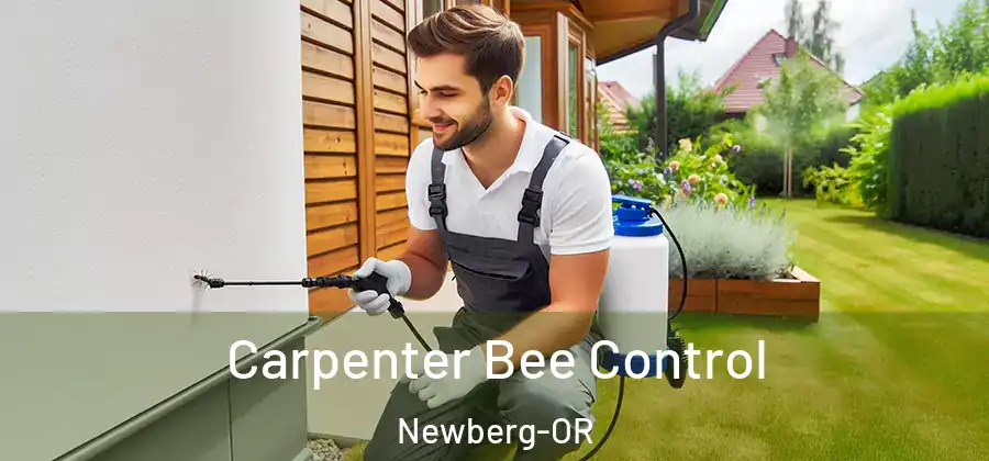  Carpenter Bee Control Newberg-OR