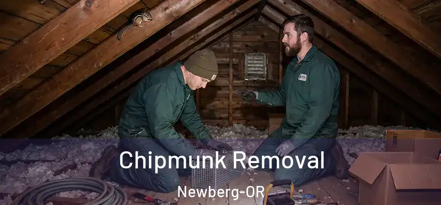  Chipmunk Removal Newberg-OR