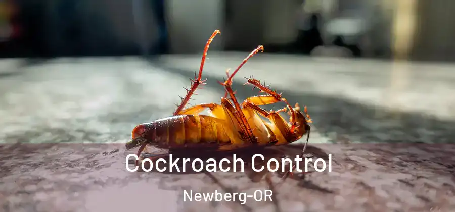  Cockroach Control Newberg-OR