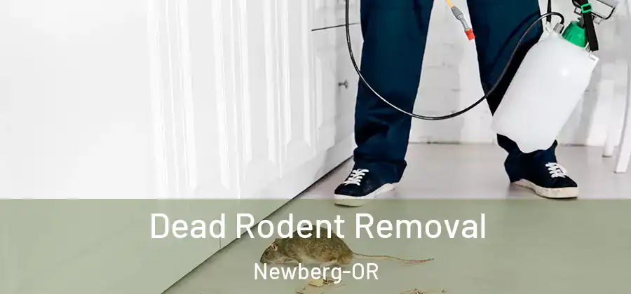 Dead Rodent Removal Newberg-OR