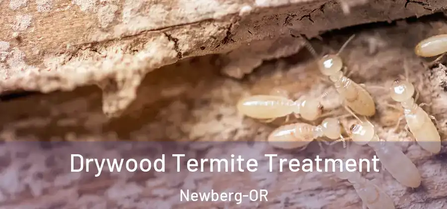 Drywood Termite Treatment Newberg-OR