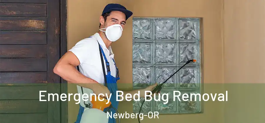 Emergency Bed Bug Removal Newberg-OR