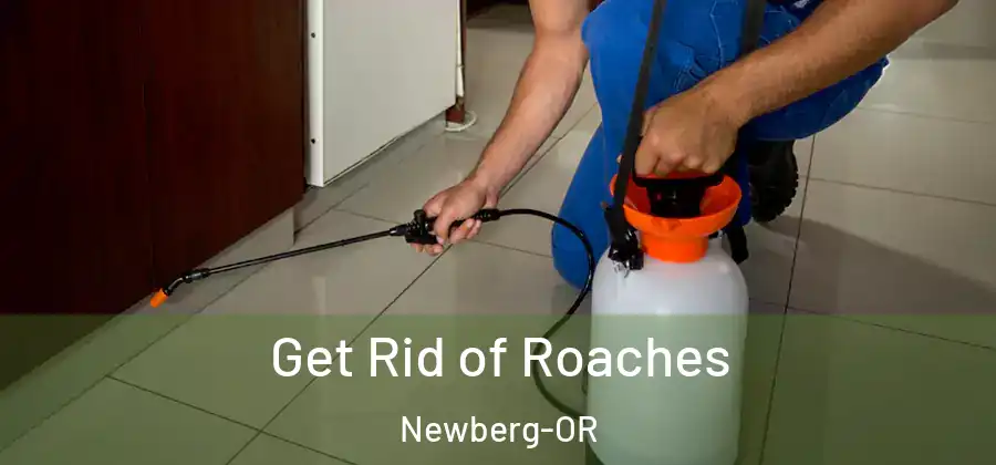 Get Rid of Roaches Newberg-OR