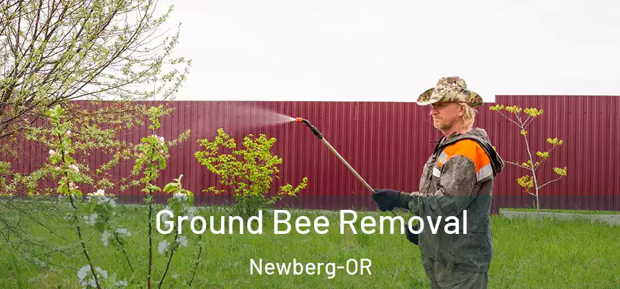 Ground Bee Removal Newberg-OR