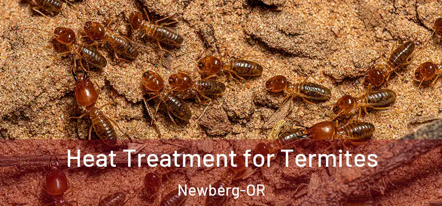 Heat Treatment for Termites Newberg-OR