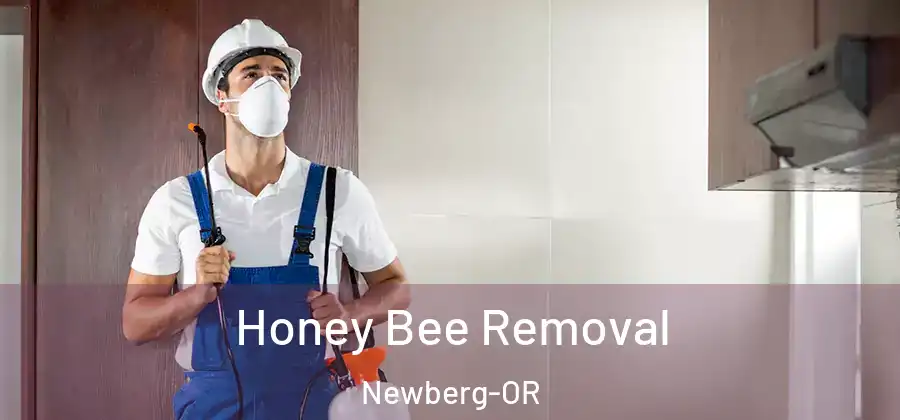 Honey Bee Removal Newberg-OR