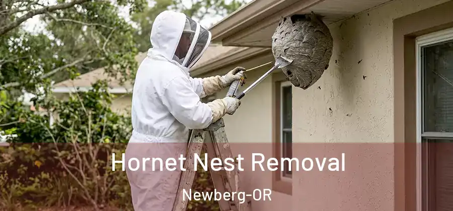 Hornet Nest Removal Newberg-OR
