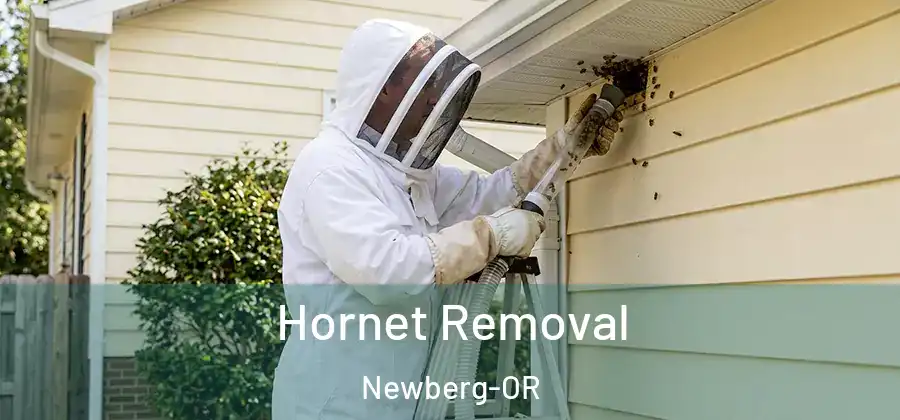 Hornet Removal Newberg-OR