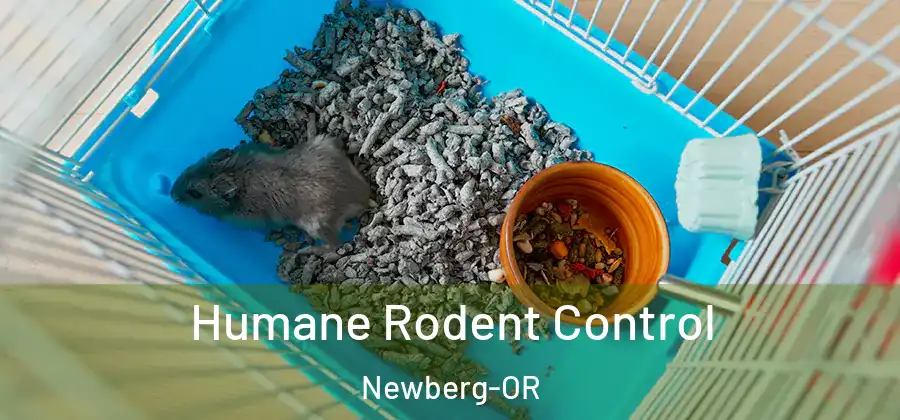Humane Rodent Control Newberg-OR