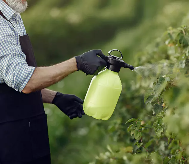Your Proven Mosquito Treatment Company in Newberg, OR