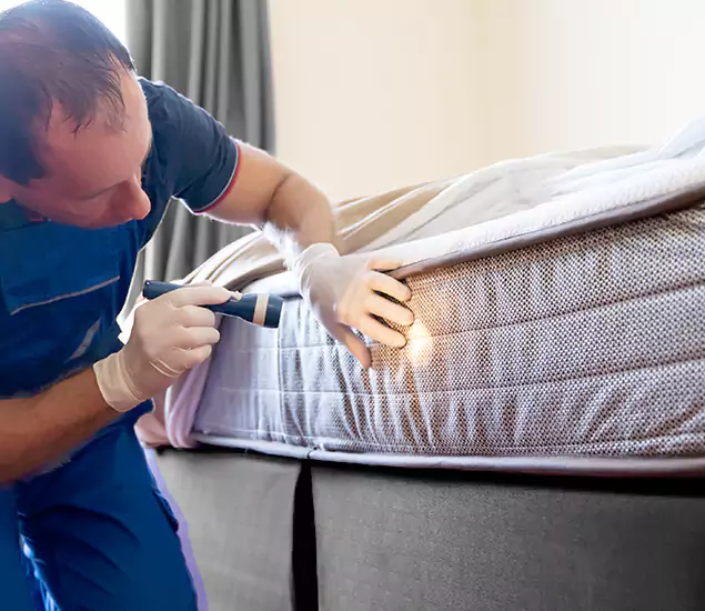 Trusted Bed Bug Cost Experts in Newberg, OR