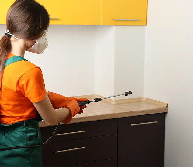 Trusted Bed Bug Pest Control Specialist in Newberg, OR
