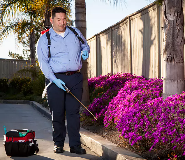 About Our Eco Safe Pest Control Experts in Newberg, OR