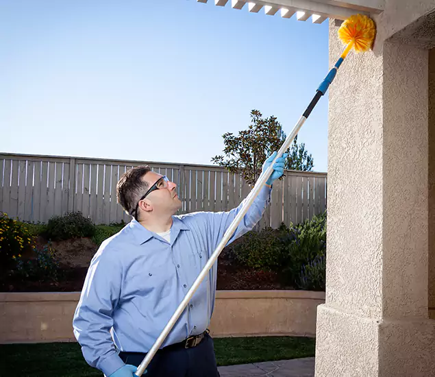 Trusted Experts in Newberg OR for Formosan Termite Treatment and Black Termite Control