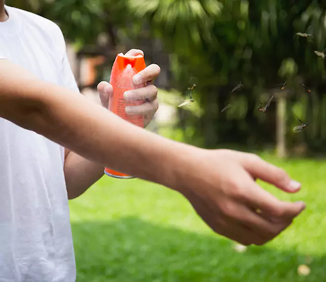 Your Best Indoor Bug Killer Team in Newberg, OR