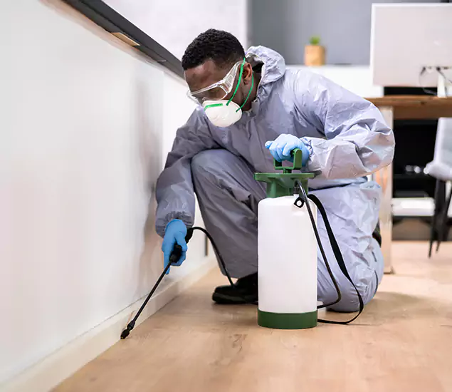 Leading Industrial Pest Control Experts Serving Newberg, OR