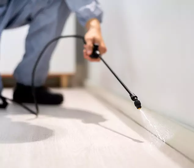 About Our Liquid Termite Treatment Experts in Newberg, OR