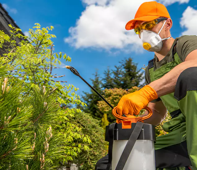 Your Mosquito Repellent Barrier Service in Newberg, OR