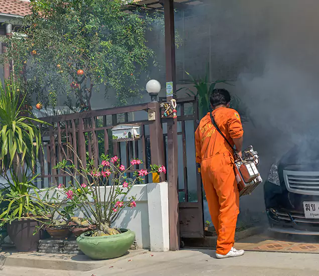 Your Proven Mosquito Fogging Company in Newberg, OR