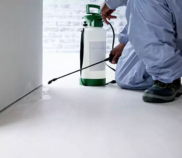 Affordable Pest Control Experts in Newberg, OR