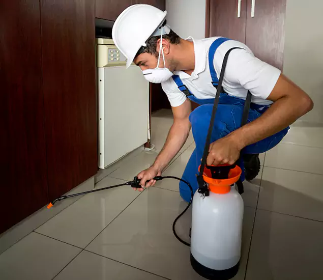 Advanced Termite Pre Treatment Experts in Newberg, OR
