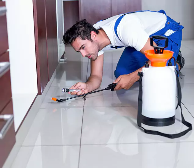 Trusted Rat Control Services Specialists in Newberg, OR