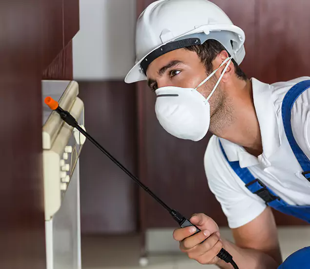 Expert Cockroach Exterminator: Your Roach Control Services in Newberg, OR