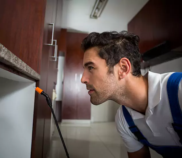 Expert Rodent in Attic Removal: Your Proven Pest Specialists in Newberg, OR