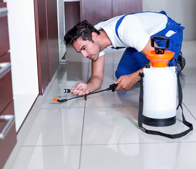 Advanced Slab Termite Treatment Experts You Can Trust&nbsp;in Newberg, OR