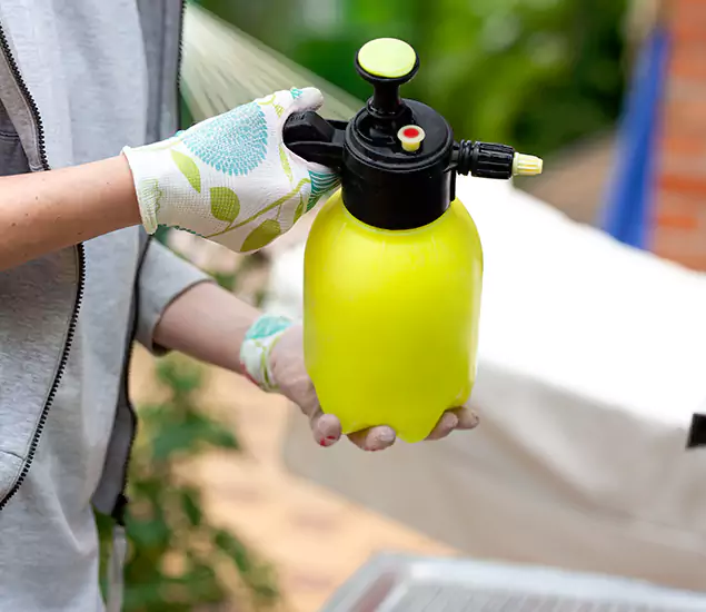 Skilled Residential Small Black Ant Service in Newberg, OR