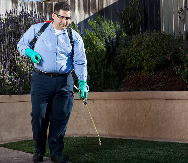 Reliable Termite Barrier Treatment Experts in Newberg, OR