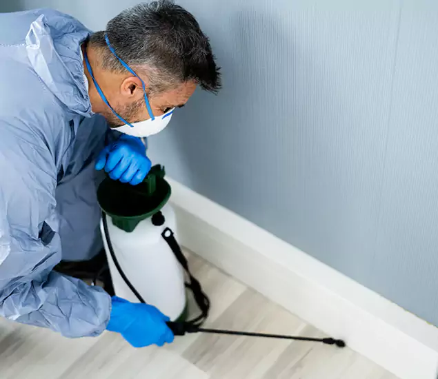 Reliable Termite Cost Experts in Newberg, OR