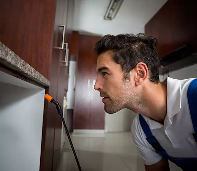 Termite Inspection Cost Experts You Can Trust in Newberg, OR