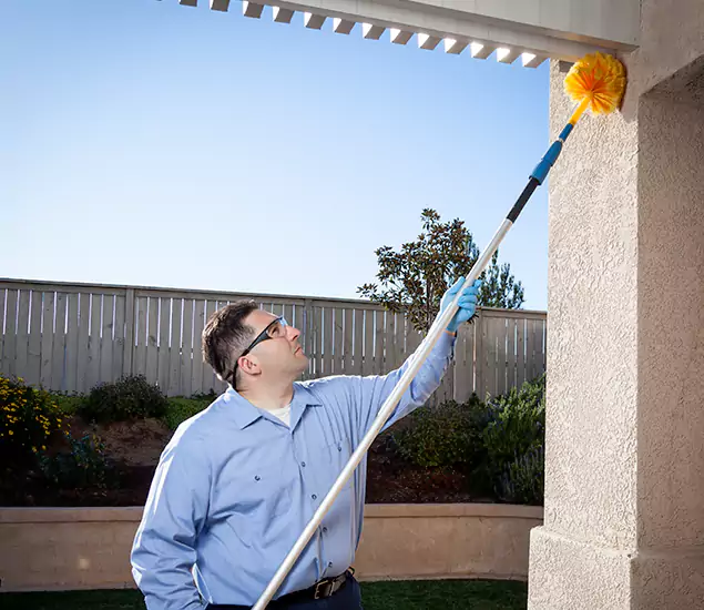 Your Trusted Wasp Removal Company in Newberg, OR