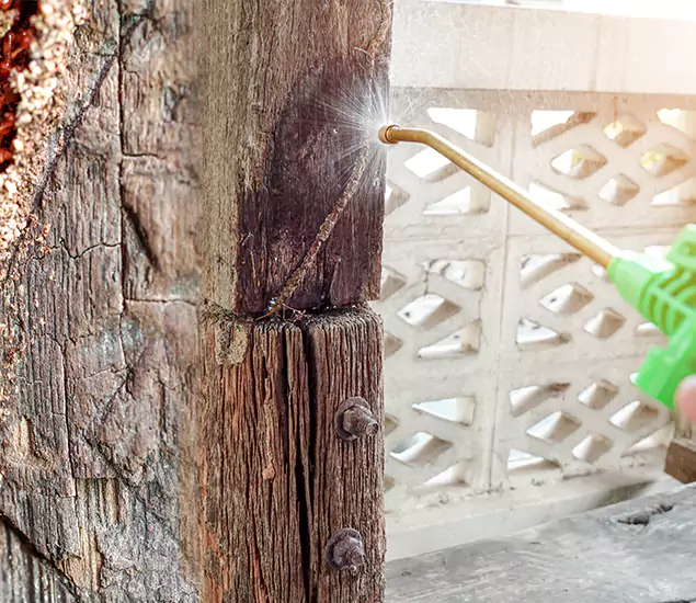 About Wood Termite Treatment Services in Newberg, OR